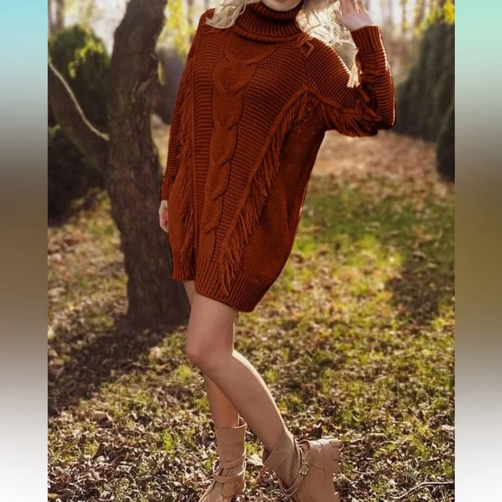 NWT Chunky Knit Turtle Neck fringe Sweater Dress - Picture 1 of 8